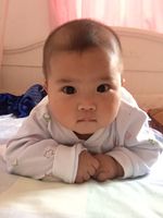 毛毛