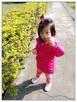 小乖宝
