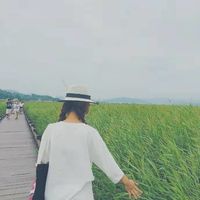 呦呦