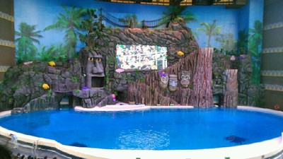 珠海长隆海洋王国--海豚剧场篇