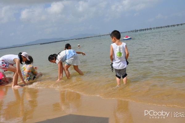 珠海高栏吃海鲜_高栏货车报价及图片_高栏货车出租车名片(2)