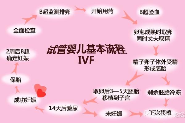 肥胖症对供卵试管婴儿的影响。