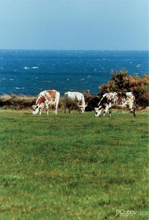 合生元奶粉产地是法国吗_新手妈妈