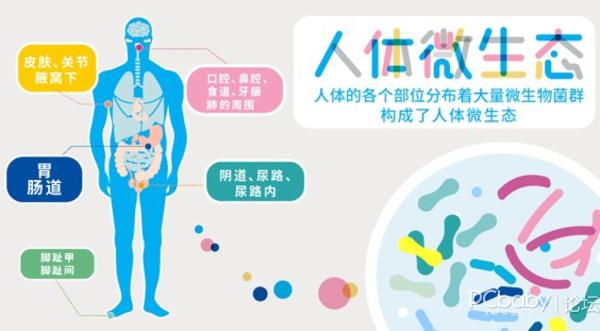 人体哪来的这么多毒素我们如何科学应对呢