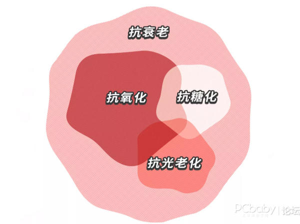 全靠保养护肤_护肤保养舍得投资_护肤保养讲座