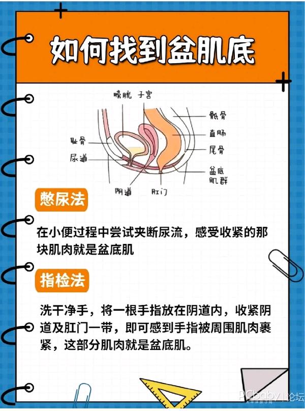 产后恢复|凯格尔运动|盆骨运动|盆底肌