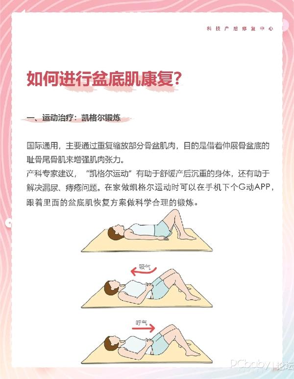 产后恢复宝妈们万万不可忽视的盆底肌