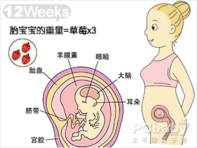 怀孕3个月 怀孕三个月胎儿图 怀孕三个月吃什么好 怀孕三个月注意事项 亲子百科 太平洋亲子网