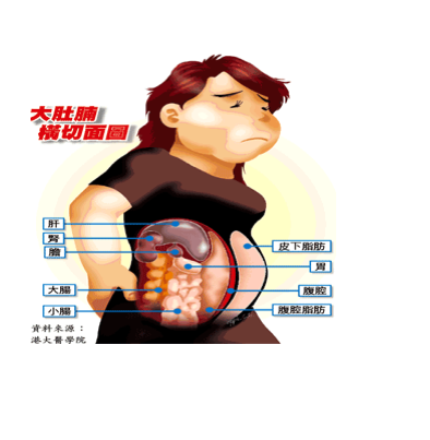 如何减腹部脂肪,生而为人,我很努力,可每次都失