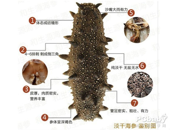 比较便宜的海参是哪种 40883212_1490840886886_650x650.jpg